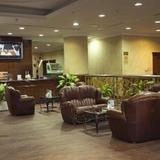 Гостиница Holiday Inn Sharjah — фото 3