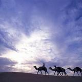 Гостиница Al Maha A Luxury Collection Desert Resort and Spa — фото 3