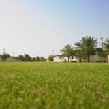 Green Mubazzarah Chalets Al Ain — фото 2