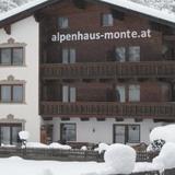 Alpenhaus Monte — фото 1