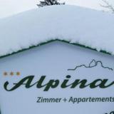 Alpina — фото 2