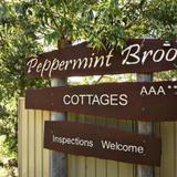 Peppermint Brook Cottages — фото 1