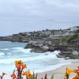 Bondi Ocean Views - A Bondi Beach Holiday Home — фото 1