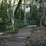 Гостиница Tanglewood Gardens Rainforest Retreat — фото 3