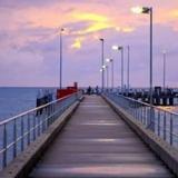 On Palm Cove Beachfront Apartments — фото 2