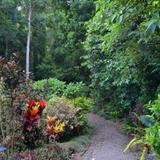Гостиница Port Douglas Valley Retreat — фото 2