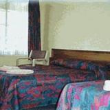 Гостиница Taree Country Motel — фото 3