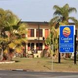 Гостиница Comfort Inn Country Plaza Taree — фото 3