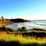 Yamba Farmstay — фото 2