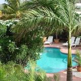Cunucu Villas - Aruba Tropical Garden Apartments — фото 3