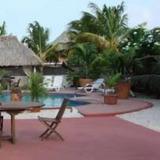 Cunucu Villas - Aruba Tropical Garden Apartments — фото 2