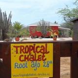 Tropical Chalet Aruba — фото 3