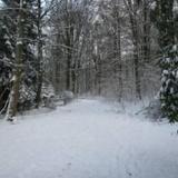 B&B Le Bois Dormant — фото 2