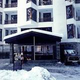 Snowy Dreams Pamporovo Apartments — фото 1