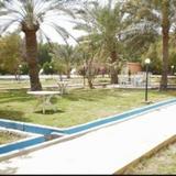 Bahrain Wellness Resort — фото 1