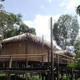 Amazon Arowana Lodge — фото 1