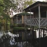 Amazon Arowana Lodge — фото 2