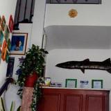 Гостиница Pousada Red Fish — фото 3