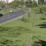 Гостиница Novo Mundo — фото 1