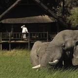 Гостиница Belmond Safaris — фото 1