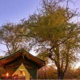 Гостиница Tuskers Wilderness Camp — фото 2