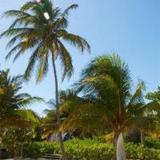 Caribbean Villas Hotel — фото 1
