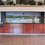 QUALITY INN — фото 3