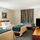 COMFORT INN THE POINTE — фото 1