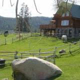 Гостиница Wildhorse Mountain Guest Ranch Bed & Breakfast — фото 1