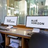 Гостиница Blue Horizon — фото 1