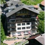 Гостиница Eigerblick — фото 1