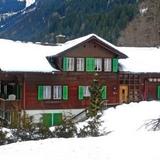 Apartment Schwendi IX Grindelwald — фото 1