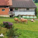 Bauernhof Hinderfeld In Rothenburg Bei Luzern In Der Schweiz — фото 2