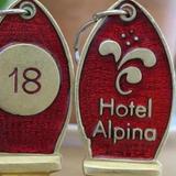 Hotel Alpina — фото 2
