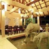 Гостиница Enjoy Dali Inn — фото 1