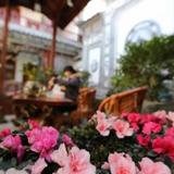 Гостиница Dali Chenyuan Chic Coutyard — фото 2