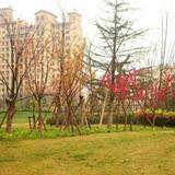 Qingdao Bedom Apartment (Jinsha Bay) — фото 2