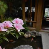 Lijiang Zen Garden Hotel - Lion Hill Yard — фото 1