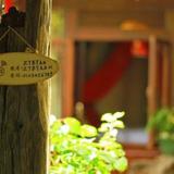 Lijiang Wisteria Inn — фото 2