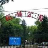Harbin Bingcheng Home Hostel — фото 3