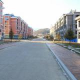 Yabuli Qingyun County Xin Ding Apartment Hotel — фото 3