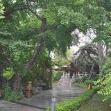 Гостиница Bamboo Garden — фото 2