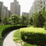Beijing Rents International Apartments - Jin Gang Guo Ji — фото 1