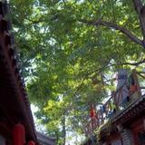 Beijing Templeside Lianlian Hutong Guest House — фото 3