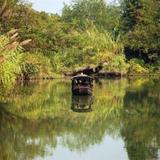 Гостиница Sheraton Grand Hangzhou Wetland Park Resort — фото 3