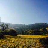 Rice View Villa — фото 1