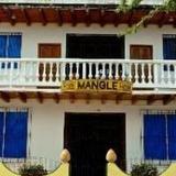 Mangle — фото 3