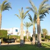 Green Oasis Beach Apartments — фото 1