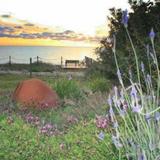 Blue Coral Beach Villas — фото 3