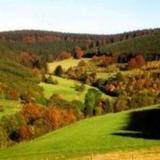 Гостиница Zuschenwald — фото 2